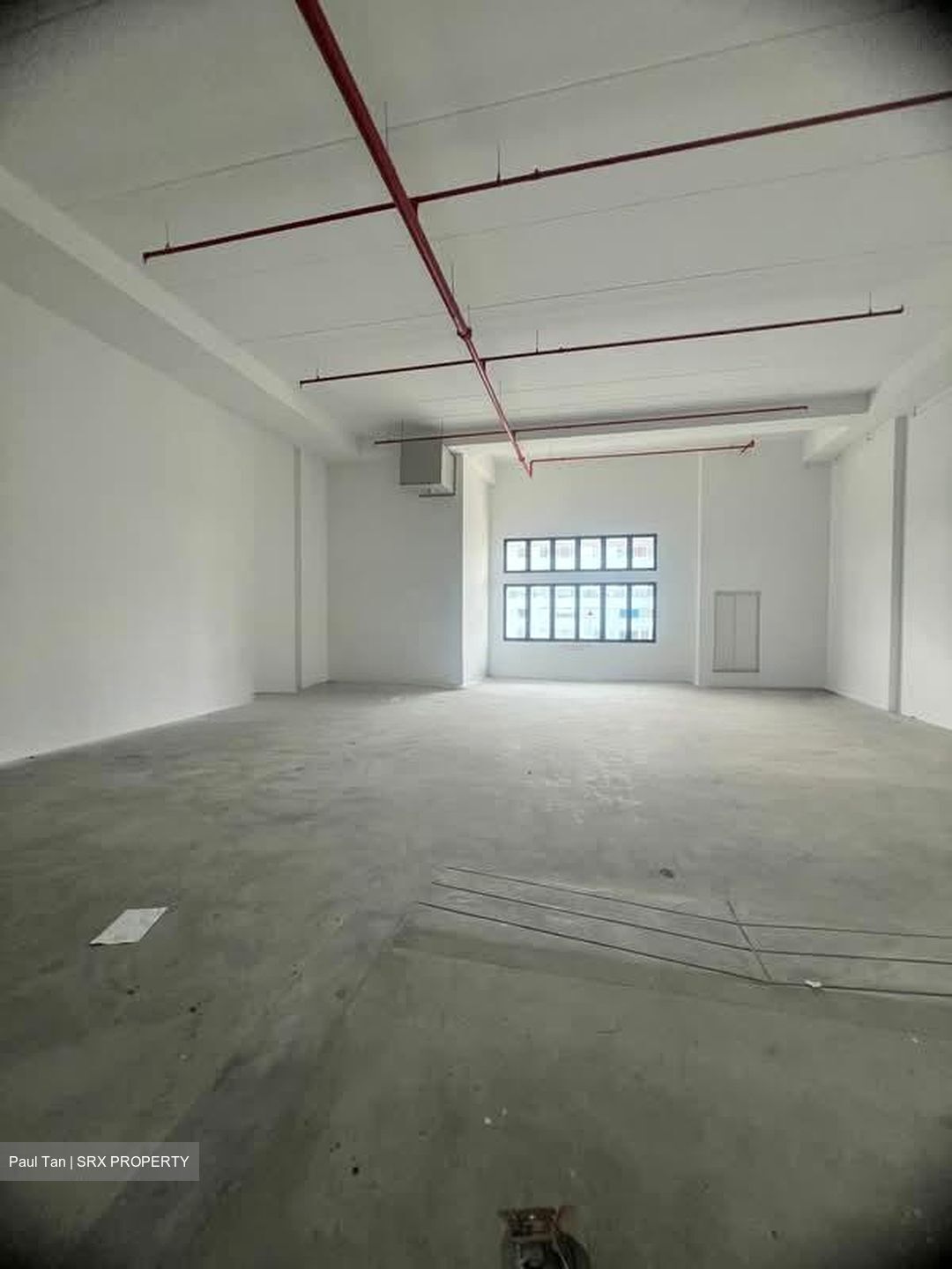 Ct Foodnex (D25), Factory #575904351